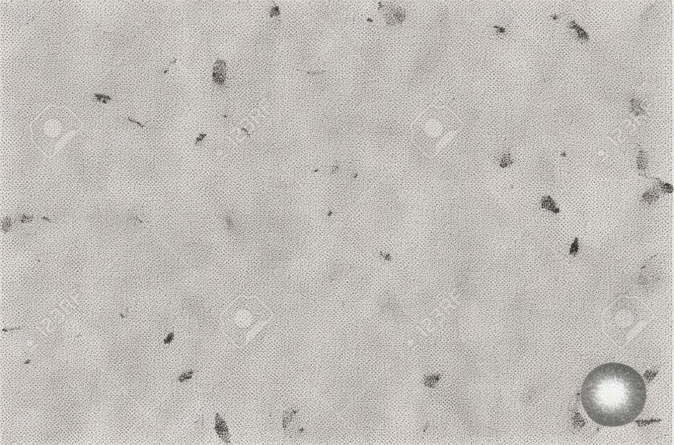 Grunge poussière mouchetée Effet Croquis Texture. La texture de Scratch.