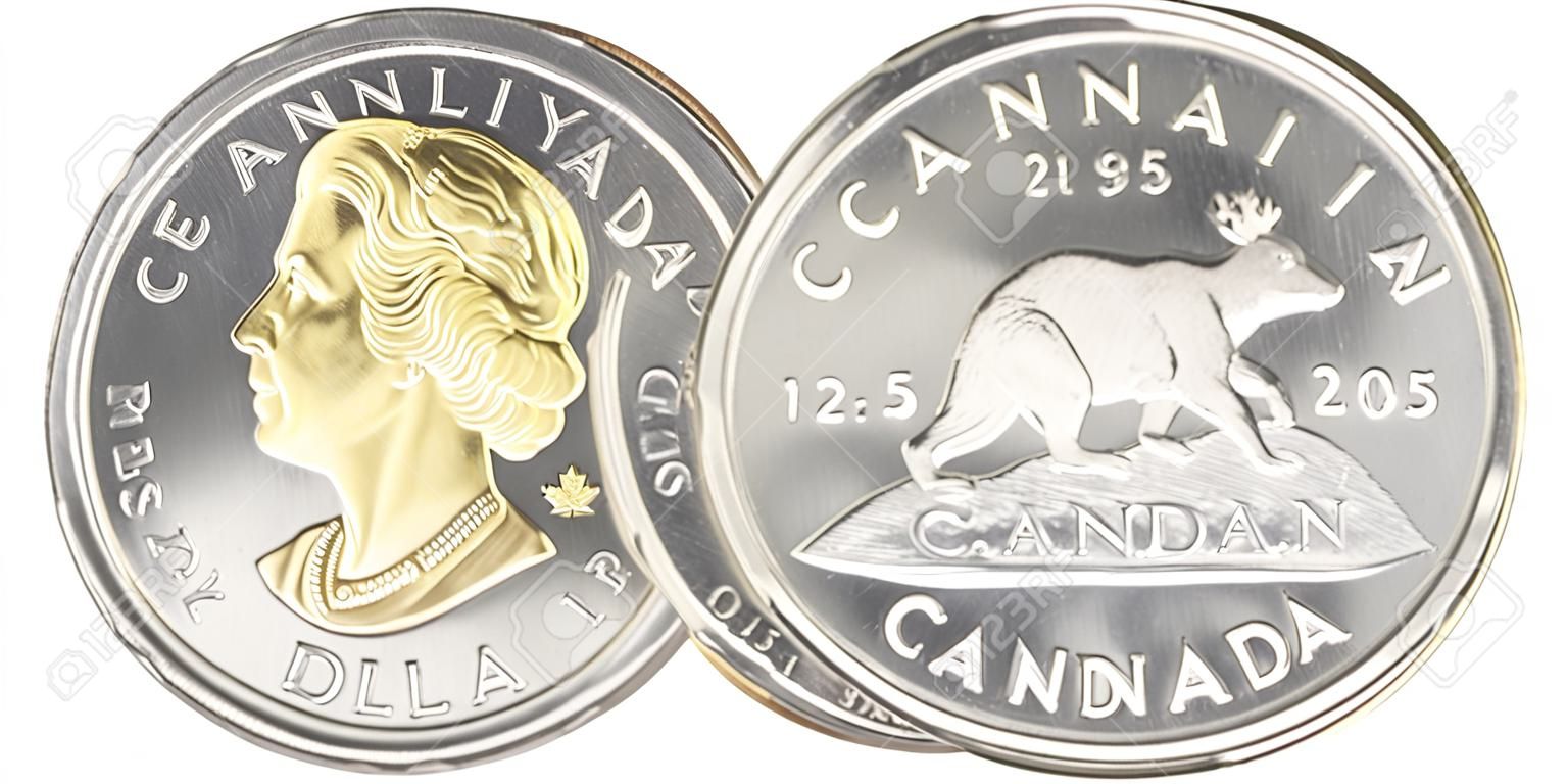 TORONTO, KANADA - 19 kwietnia 2015: obiegowe monety Dolar kanadyjski