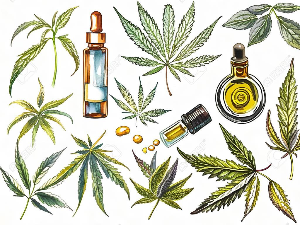 CBD oil hemp products. Watercolor illustration on white background