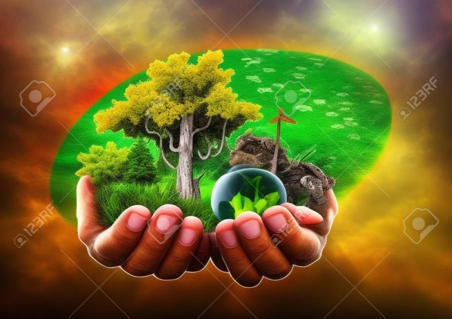 Las manos de Dios el Creador sostienen la vida de toda la naturaleza, plantas y animales.