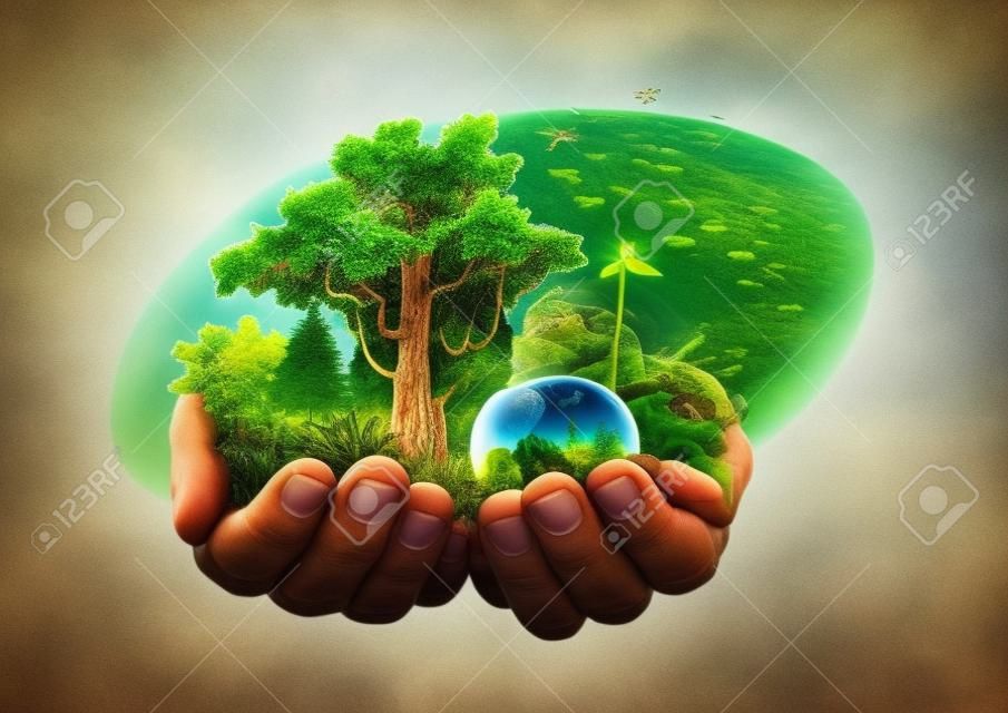 Die Hände Gottes, des Schöpfers, unterstützen das Leben aller Natur, Pflanzen und Tiere.