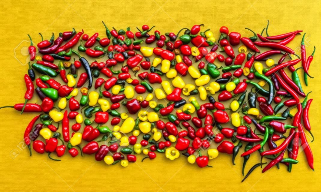 színes mix a legforróbb chili paprika. Thai chili, habanero, serrano, jalapeno, Naga Jolokia, Trinidad skorpió, carolina aratógép, jamaikai sárga, fekete chili