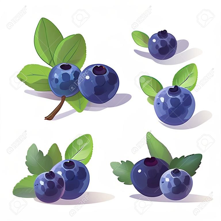 Set of blueberries with leaves. Vector illustration in cartoon style.