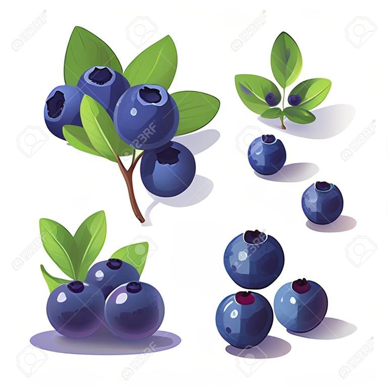Set of blueberries with leaves. Vector illustration in cartoon style.