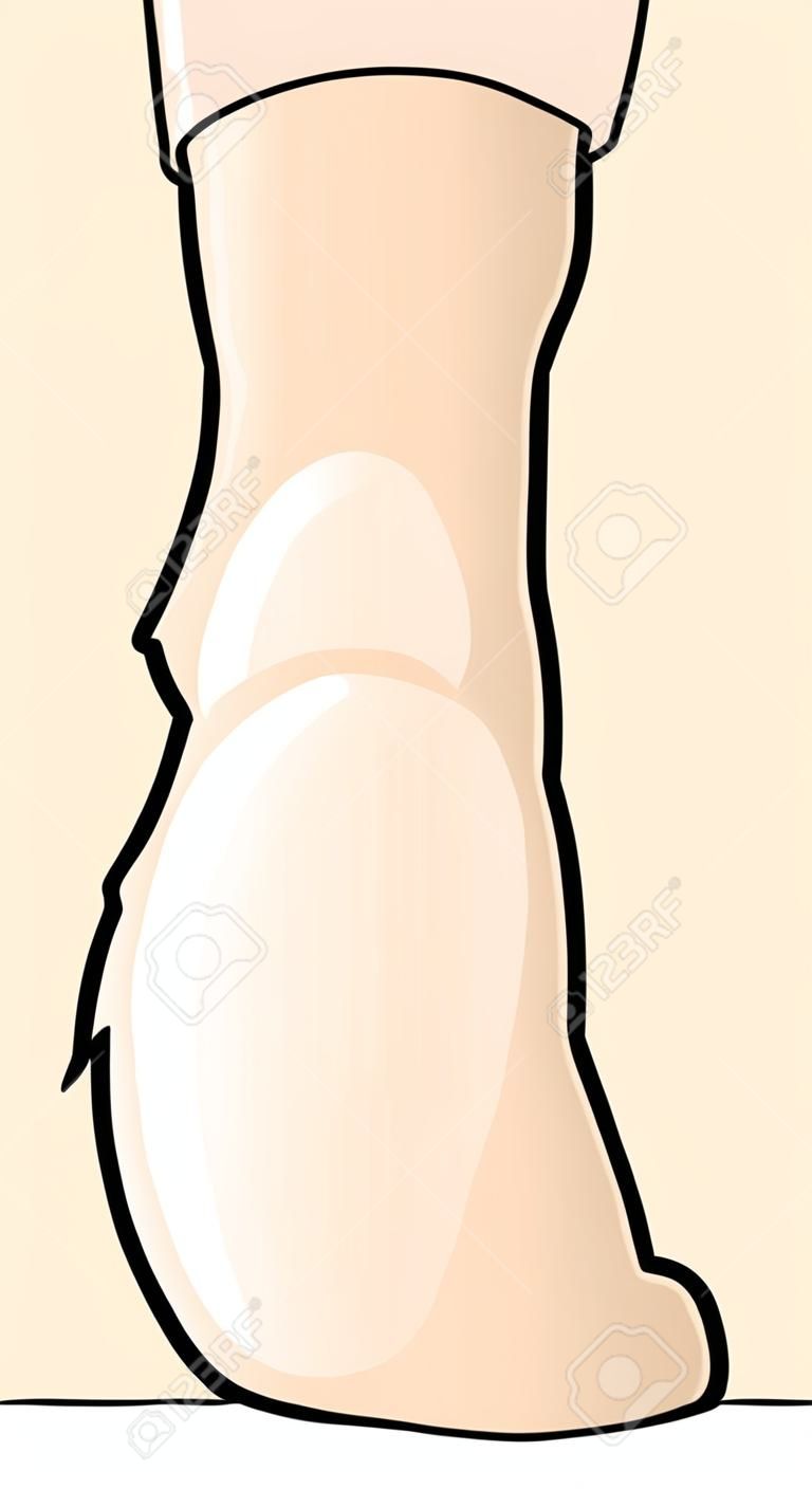 Illustration einer Karikatur Fuß in einer Frontalansicht