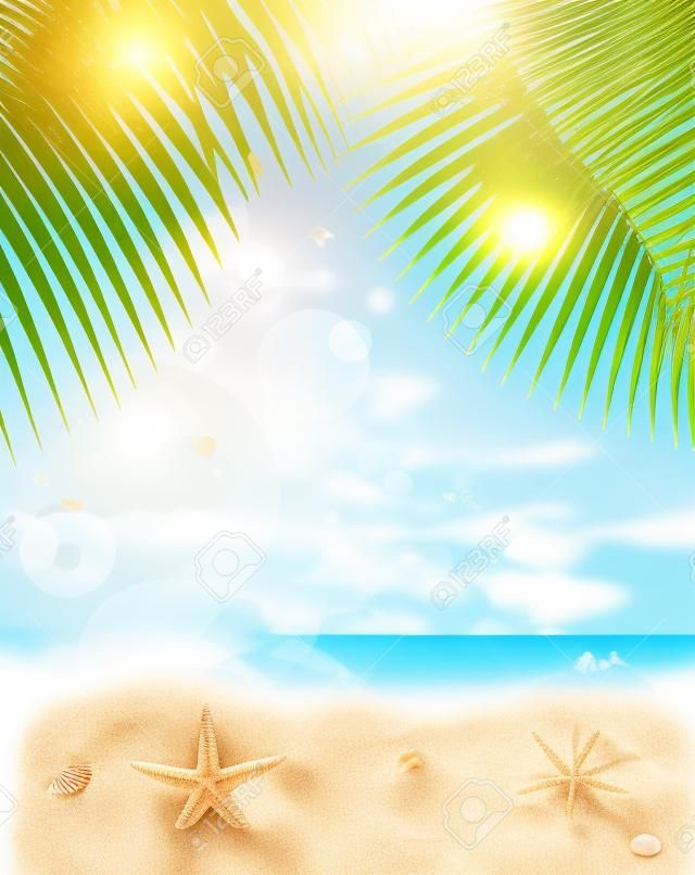 Beautiful seaside view on sunny day with sand,shells  and palm leaves. Summer holidays background.