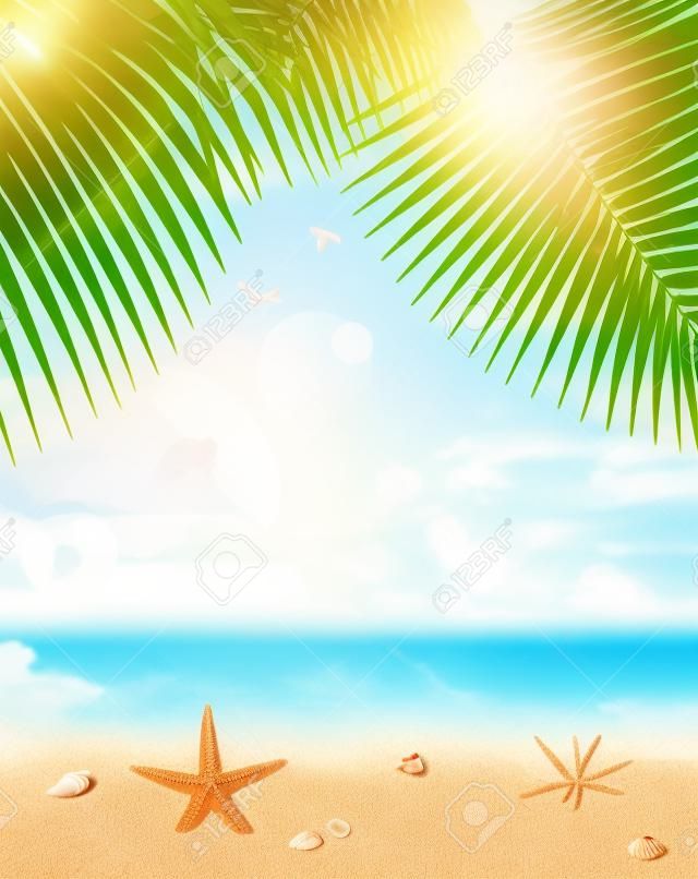 美丽的海滨景色在阳光明媚的日子与沙贝壳和棕榈树叶暑假背景
