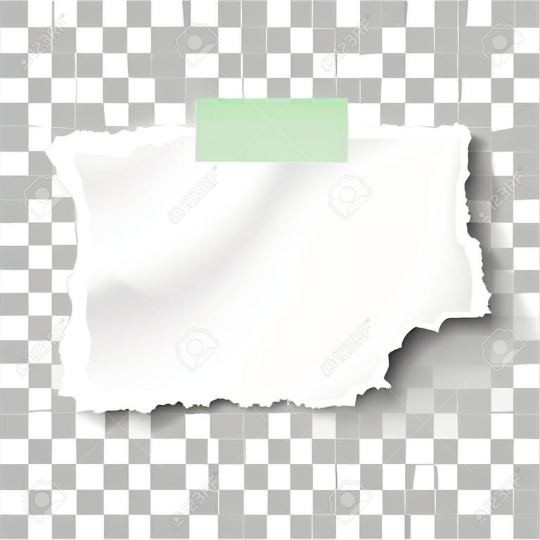 Ripped square paper scrap with soft shadow on piece of green sticky adhesive tape isolated on transparent checkered background. Template design.
