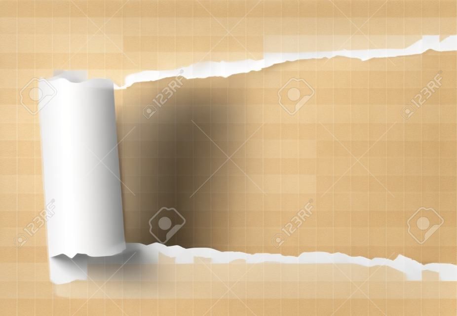 Torn elongated hole from right to left side in transparent sheet of paper with wrapped paper tear. Vector template design. Paper mockup.