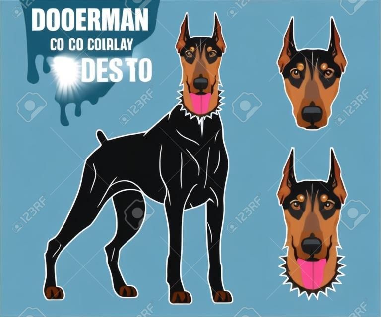 Doberman dog icon. Dog collection Vector illustration.