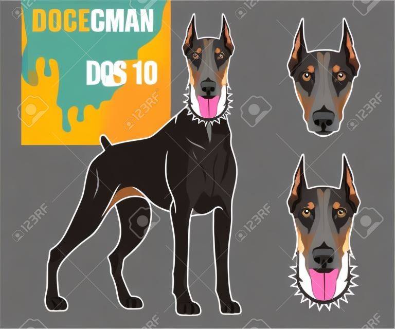 Doberman dog icon. Dog collection Vector illustration.