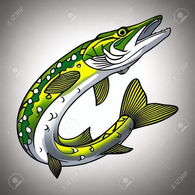 파이크 이미지. 북부 파이크. 물고기 괴물. 마스코트, 로고 또는 상징에 대한 스케치. 파이크 낚시. 스포츠 낚시 클럽. 디자인할 벡터 그래픽