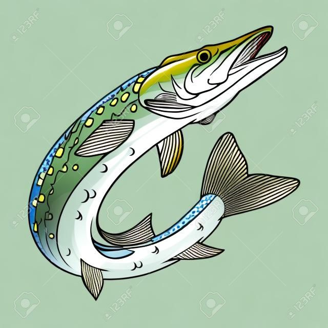 Pike Image. Northern pike. Fish monster. Sketch for mascot, logo or symbol. Pike fishing. Sport fishing club. Vector graphics to design