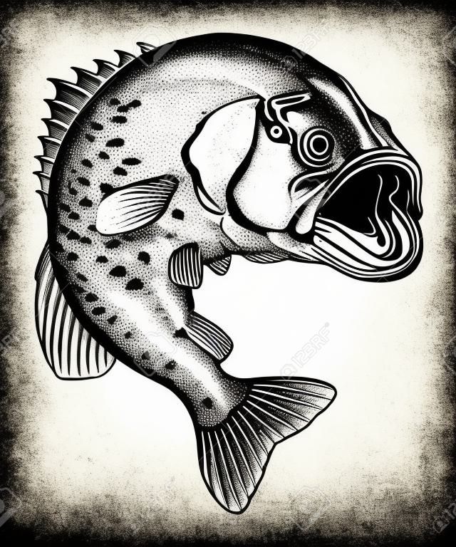 Bass Jumping Vintage is an illustration of a large mouth bass jumping out of the water in a detailed black and white hand-drawn vintage style.