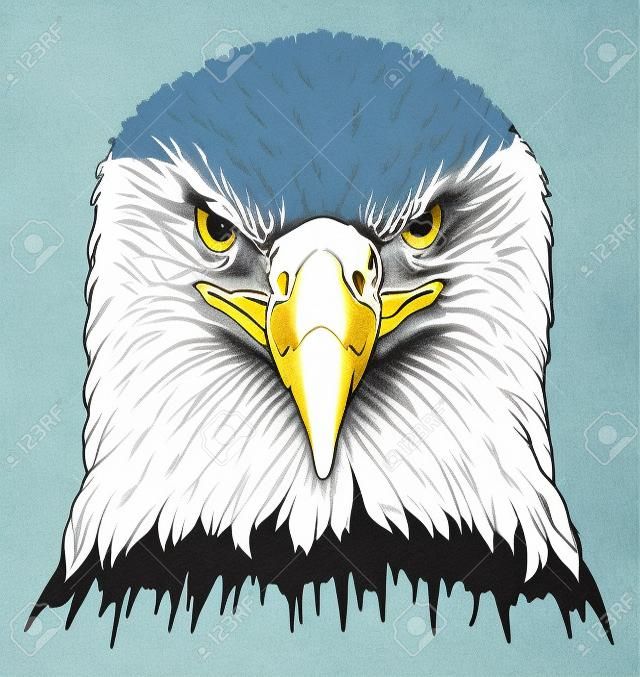 Eagle Head is an illustration of a  bald eagles head in color.