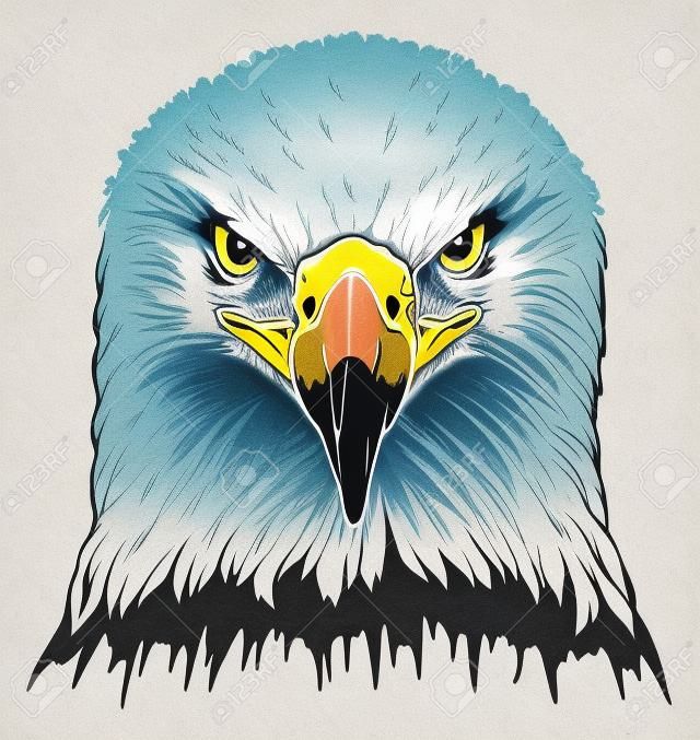 Eagle Head is an illustration of a  bald eagles head in color.