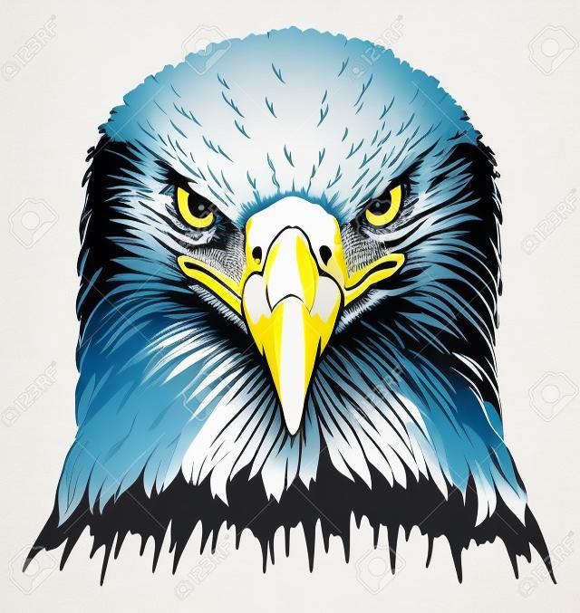 Eagle Head Is An Illustration Of A Bald Eagles Head In Color. Royalty Free  svg, kliparty, vektory a ilustrace. Image 58039831.