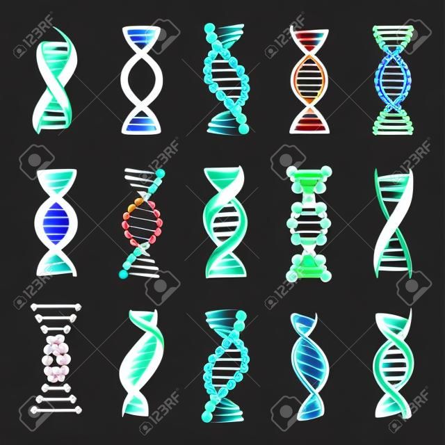 ADN hélice, un signo genético iconos vectoriales sobre un fondo blanco. Elementos de diseño para la medicina moderna, la biología y la ciencia. Símbolos oscuros de la molécula de ADN de doble cadena humana.