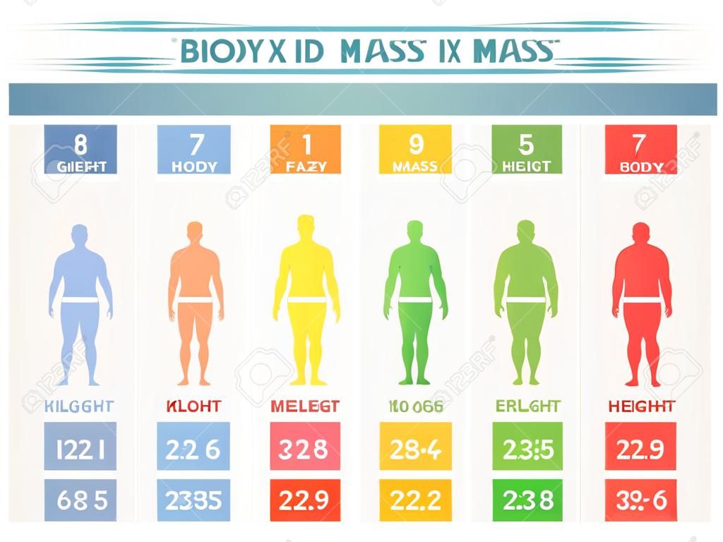 Index Massekörper. Bewertungstabelle für Körperfett basierend auf Größe und Gewicht in Kilogramm. Vector die flache Artkarikaturillustration, die auf weißem Hintergrund lokalisiert wird