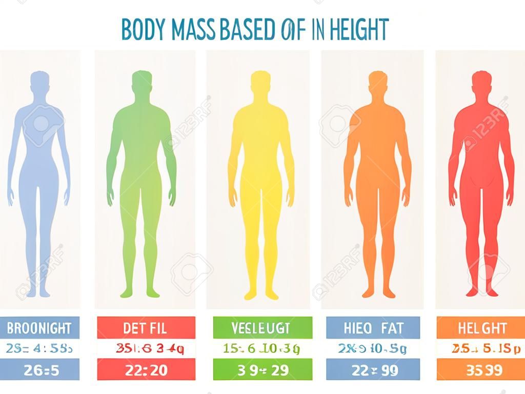 Masa bryły indeksu. Tabela ocen zawartości tkanki tłuszczowej w zależności od wzrostu i masy ciała w kilogramach. Wektorowa mieszkanie stylu kreskówki ilustracja odizolowywająca na białym tle
