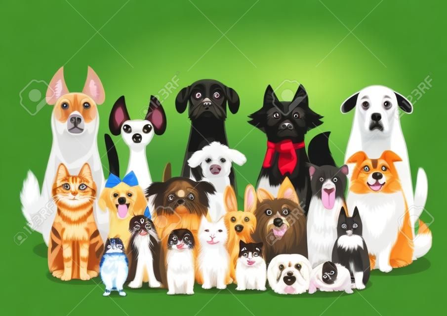 cani, gatti e piccoli animali di gruppo