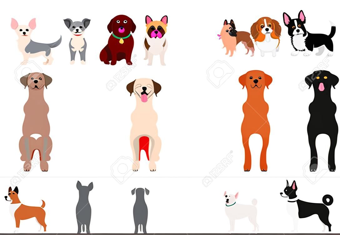 standing small dogs front and back border set