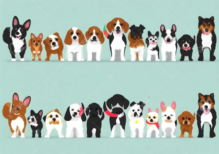 conjunto de fronteira de cães pequenos