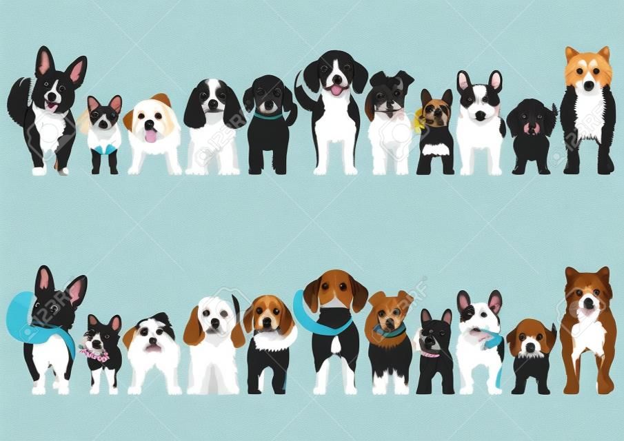 conjunto de fronteira de cães pequenos