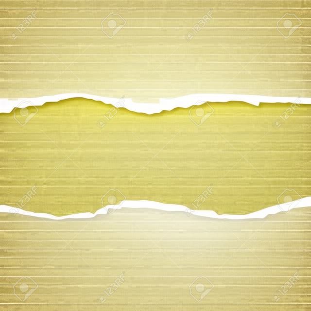 A Vector illustration of ripped paper with transparent background. Vector ripped paper