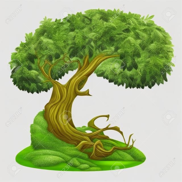 Oude feeën klimop bedekt loofboom op de heuvel met mos. Gedetailleerde vector illustratie geïsoleerd op witte achtergrond