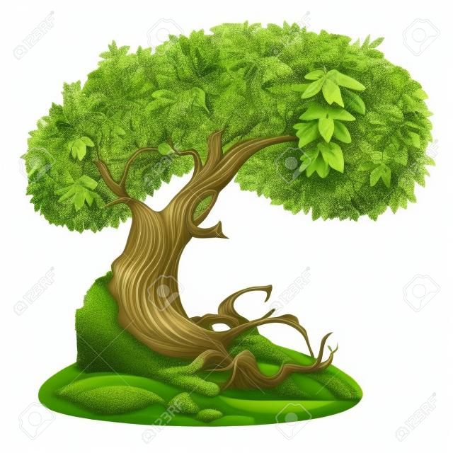 Старая фея плющом лиственное дерево на холме с мхом. Подробные векторные иллюстрации на белом фоне