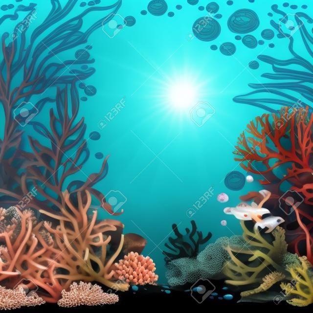 水下世界與珊瑚，海藻和海葵在白色背景上孤立概述