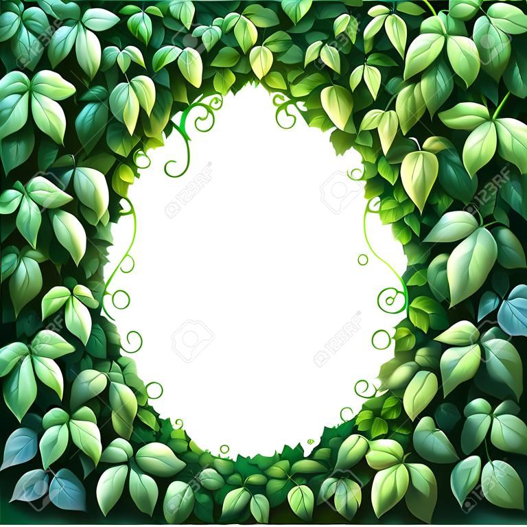 Owalna ramka do dekoracji tekstu Zaczarowany Las z zielonego bluszczu na białym tle.