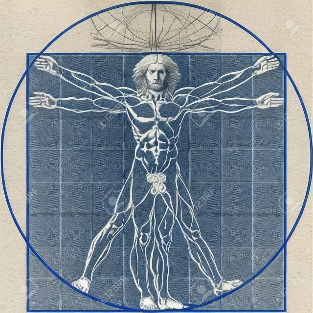 Vitruvian 남자, 또는 소위 Leonardo da Vinci 남자. 상세한 그림. 블루 버전.