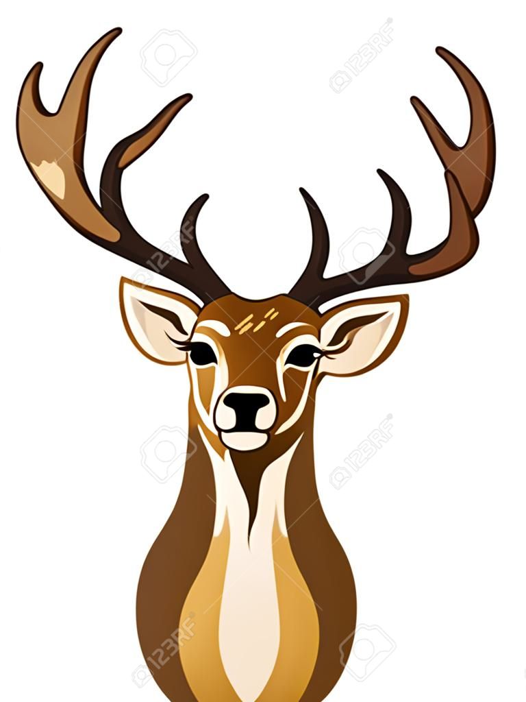 Portrait of wild deer with antlers brown color.