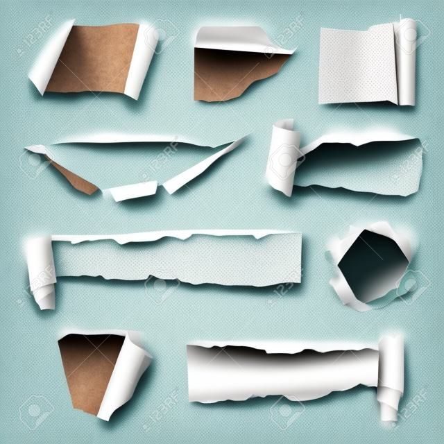 collection of torn paper. Vector illustration