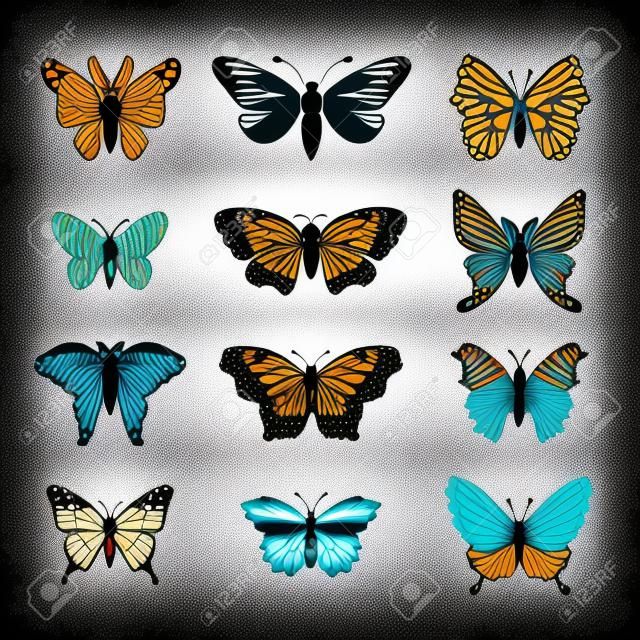 Kelebekler Dekoratif Set Vector Silhouettes İzole.