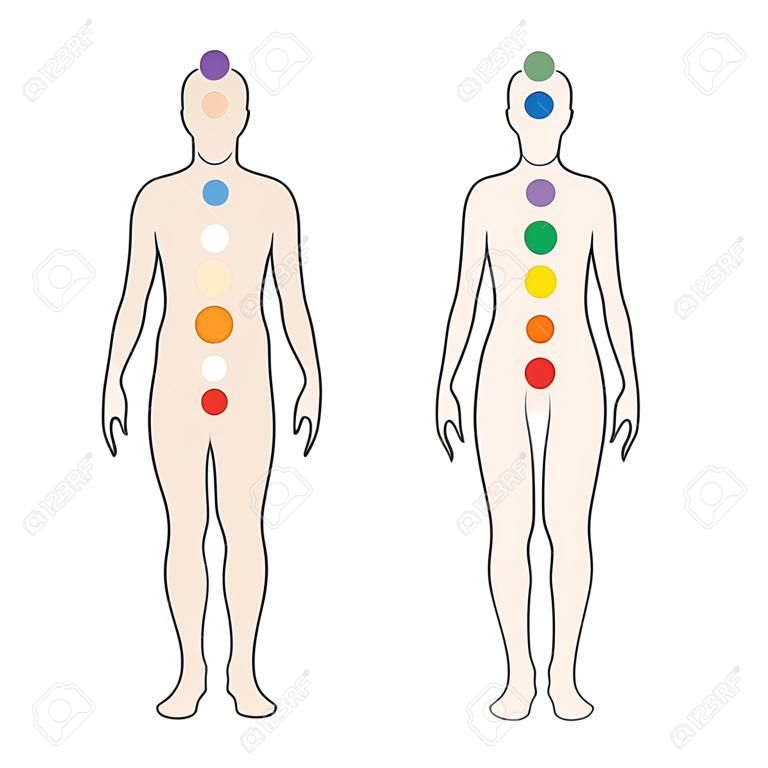 Chakren am menschlichen Körper. Silhouette eines Mannes und einer Frau mit sieben farbigen heiligen Punkten. Vektorillustration.