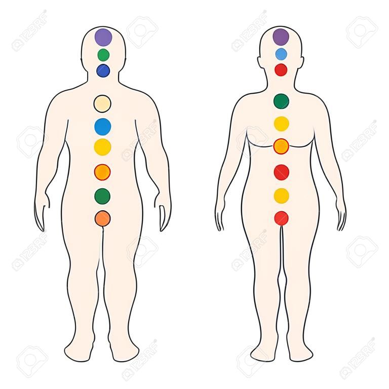 Chakren am menschlichen Körper. Silhouette eines Mannes und einer Frau mit sieben farbigen heiligen Punkten. Vektorillustration.
