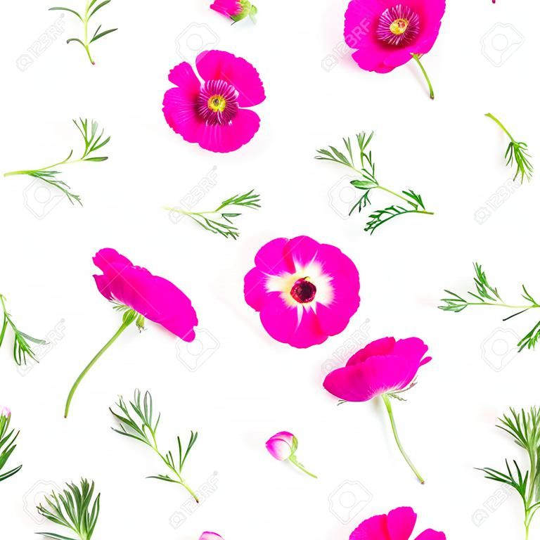 Schöne rosa Ranunculusblumen und -blätter auf weißem Hintergrund. Flache Lage, Draufsicht. Blumenlebensstilzusammensetzung, Muster
