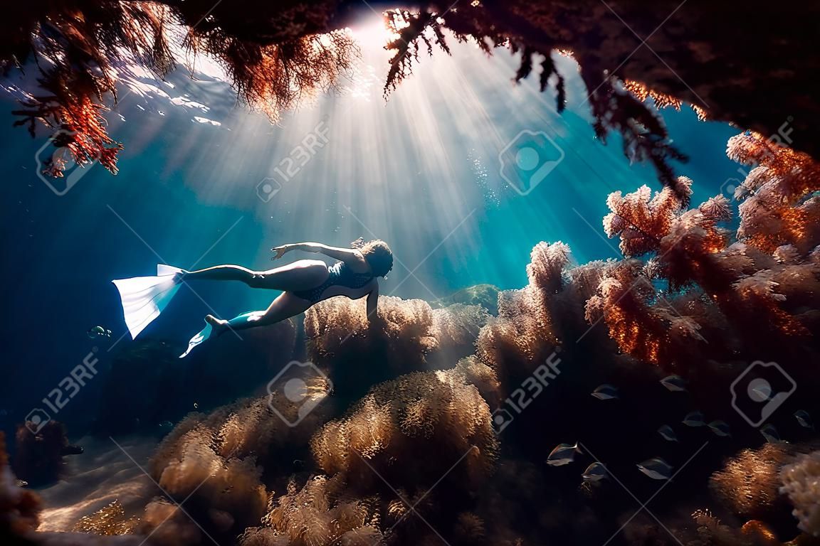 Freediverka z białymi płetwami szybuje pod wodą z niesamowitymi promieniami słońca i wodorostami, nurkując pod wodą w błękitnym morzu
