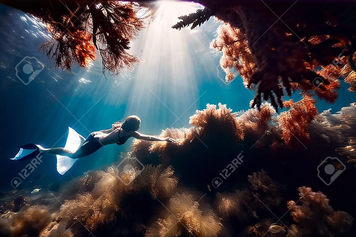 Freediverka z białymi płetwami szybuje pod wodą z niesamowitymi promieniami słońca i wodorostami, nurkując pod wodą w błękitnym morzu