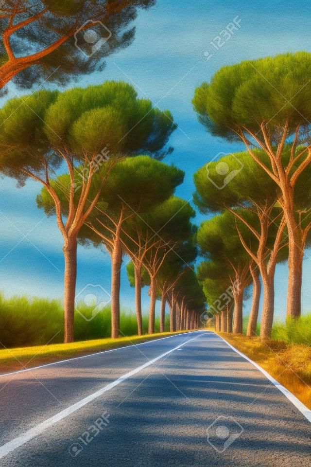 Scenic driving on new via Appia road S7 with high green  mediterranean pine trees connected Rome, Latina and Terracina, Italy