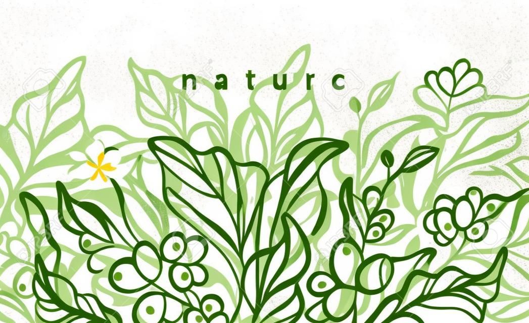 Vector floral background. Nature hand drawn illustration, art line botanical plant. Elegant graphic green banner Vintage organic card. Bio decor, ornament, tropical harvest Coffee tree, bean, flower