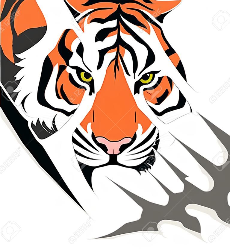 tigre garra marca de estafa, con la cara de tigre detrás de él