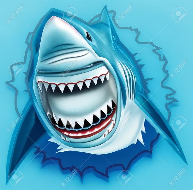 Grote witte haai