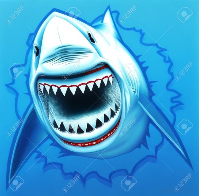 grande tubarão branco