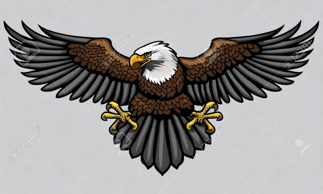 vector of hand drawn bald eagle spreading the wings
