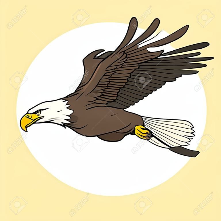 vector of Flying Bald Eagle