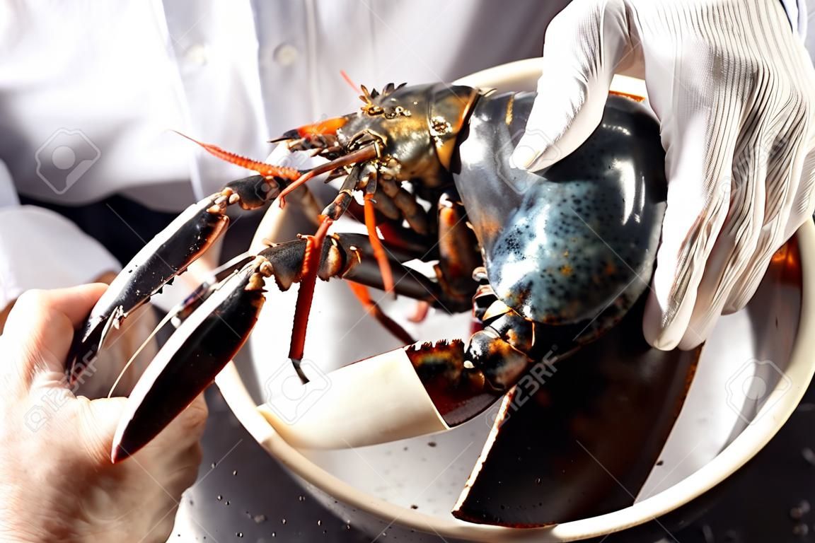 hand putting tied up lobster in large brass bowl